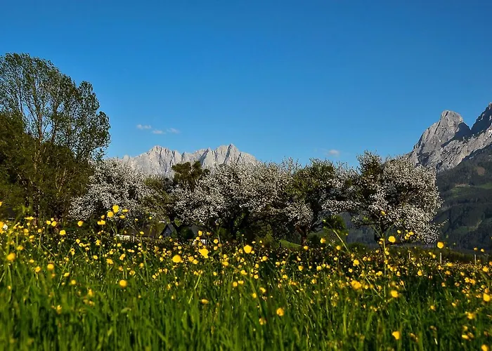 Haus Rosina أدمونت