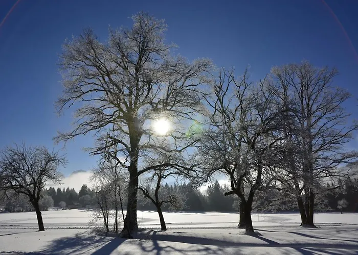 度假居 Haus Rosina 阿德蒙特