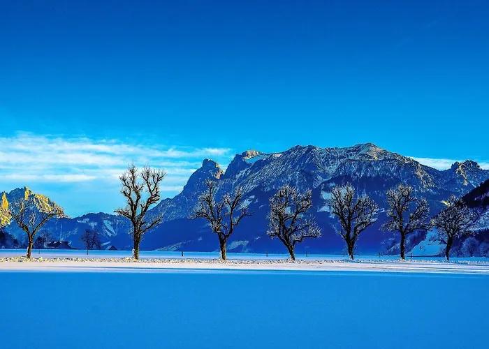 Haus Rosina 度假居 *